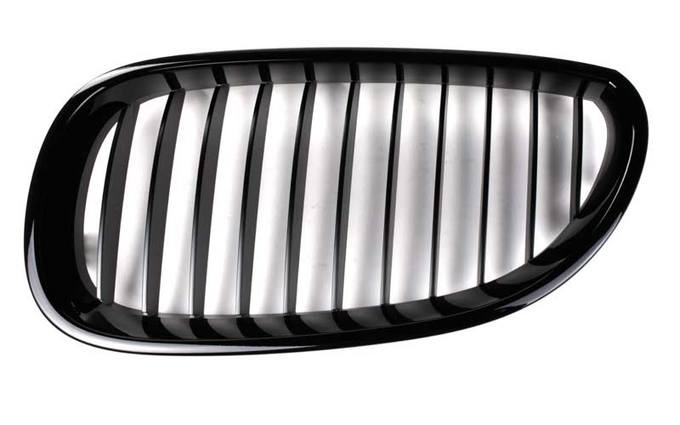 BMW Trim Grille - Front Driver Side (Black) 51712155447